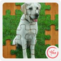 Jigsaw Pet Dog