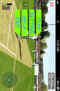 Cricket World Cup game Screen Shot 1