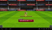 Cricket World Cup Challenges Screen Shot 6