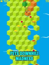 Pets Downhill Madness - Game Screen Shot 8