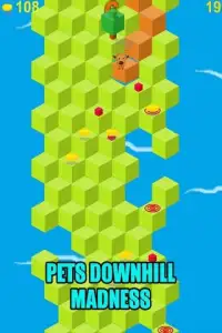 Pets Downhill Madness - Game Screen Shot 12