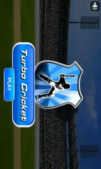 Turbo Cricket Screen Shot 0