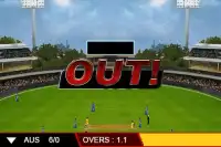 T20 Cricket 2012 Screen Shot 4