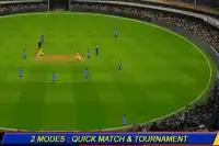 T20 Cricket 2012 Screen Shot 2