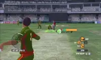Cricket Pro World Screen Shot 4