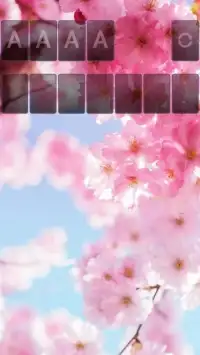 Solitaire Pink Blossom Theme Screen Shot 7