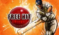 Free Hit Cricket Screen Shot 2