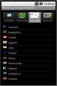 Cricket World Cup 2011 Screen Shot 1
