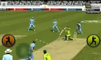 Play Cricket Worldcup 2015 Screen Shot 1
