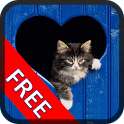Tom Cat Free Game