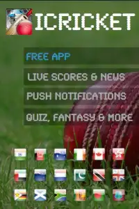 iCricket Cricket Scores &amp; Info Screen Shot 0