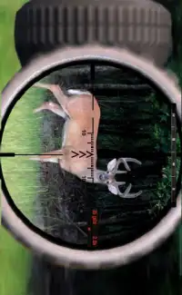 deer jungle hunting Screen Shot 0
