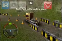 Parking Truck Deluxe Screen Shot 1