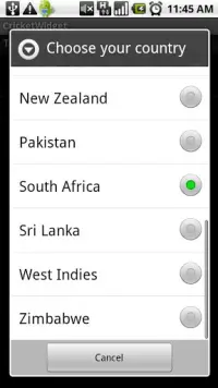 Cricket World Cup 2011 Widget Screen Shot 0
