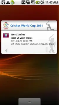 Cricket World Cup 2011 Widget Screen Shot 2