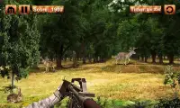 berburu rusa sniper permainan Screen Shot 0