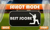 Cricket IPL™ T20 2015 live 3D Screen Shot 4
