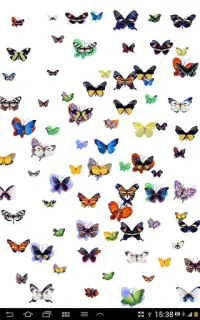 Draw your name with butterfly Screen Shot 1
