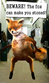 Talking Stoned Fox! Screen Shot 1