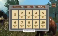 Wild Bear Attack 3D Simulator Screen Shot 11