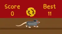 Tap Rat Screen Shot 0