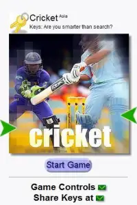 Cricket (Keys) Screen Shot 0
