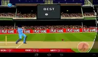 T20 Cricket Blast 2014 Screen Shot 1