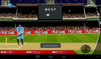 T20 Cricket Blast 2014 Screen Shot 0
