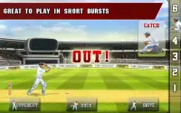 Tap Cricket 2013 Screen Shot 4