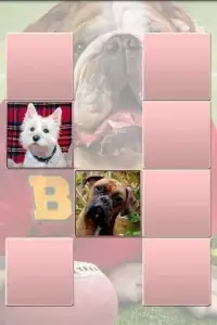 Dogs. Memory Classic. Screen Shot 0