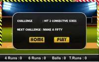 Cricket Worldcup Power Batting Screen Shot 3