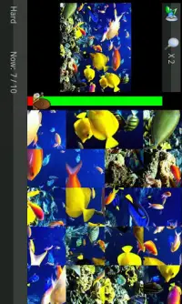 Puzzle Game-Aquarium Album Screen Shot 1