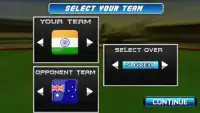 Cricket Cup 2015 Screen Shot 2
