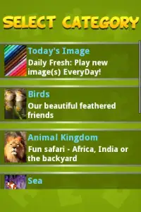 Birds, Lions - Animal Jigsaw Screen Shot 1