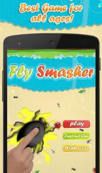 Fly Smasher Screen Shot 4