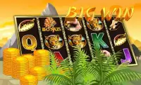 Wild Jungle King Super Slots Screen Shot 1