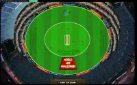 Cricket World Cup Challenges Screen Shot 8