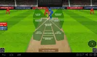 Cricket World Cup Challenges Screen Shot 9