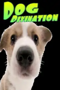 DogDivination Screen Shot 1