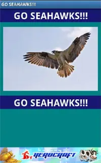 Go Seahawks! Screen Shot 0