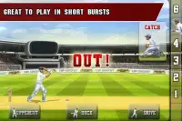 Tap Cricket 2013 Screen Shot 0