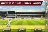 Tap Cricket 2013 Screen Shot 1