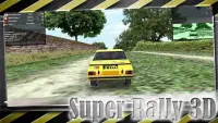 Super Rally 3D Screen Shot 7