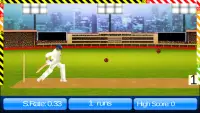 Cricket World Cup Game IndoPak Screen Shot 0