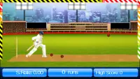 Cricket World Cup Game IndoPak Screen Shot 3