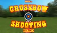 Crossbow Shooting deluxe Screen Shot 10