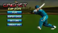 Cricket Cup 2015 Screen Shot 3
