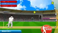 Cricket Championship 2015 Screen Shot 0