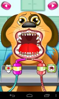 Animal Dentist Office Screen Shot 1