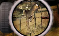 deer jungle hunting Screen Shot 0